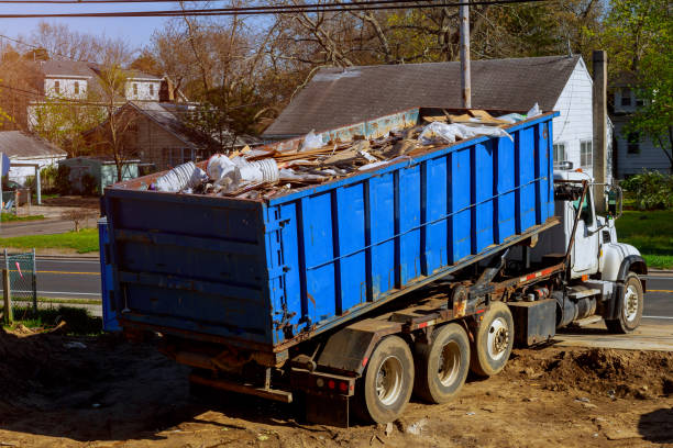 Best Furniture Removal  in Blue Grass, IA